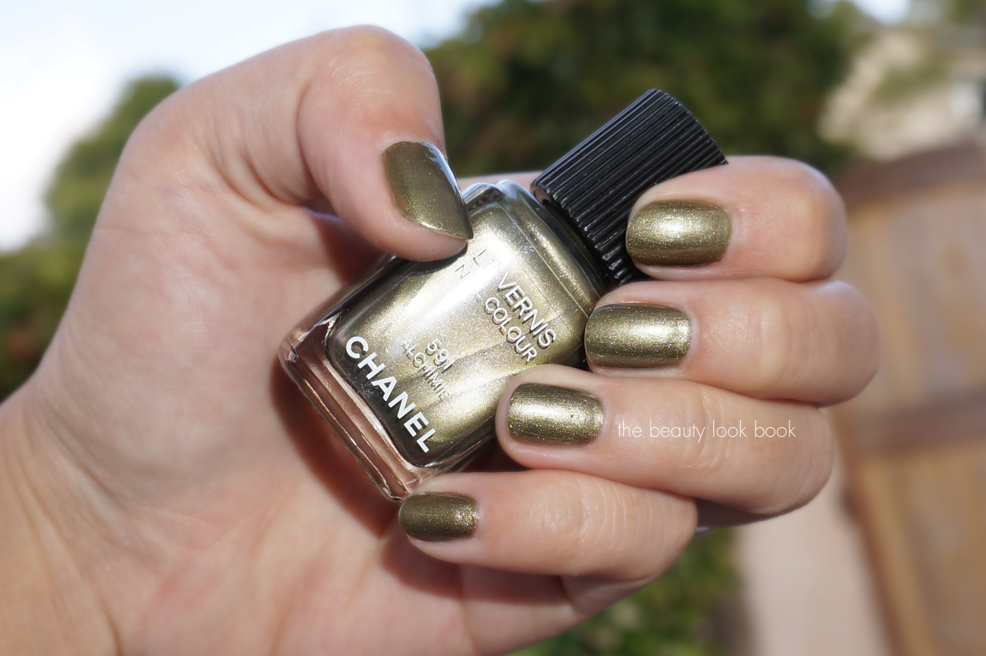 Chanel Alchimie 591 Le Vernis - Fall 2013 - The Beauty Look Book